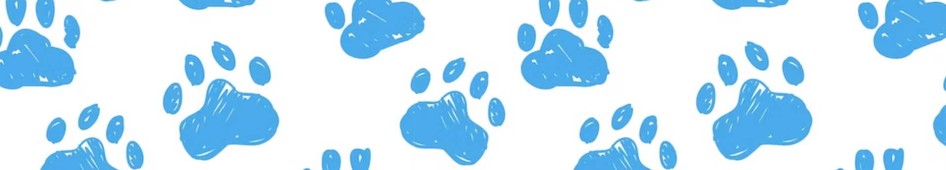 Pet and Paw