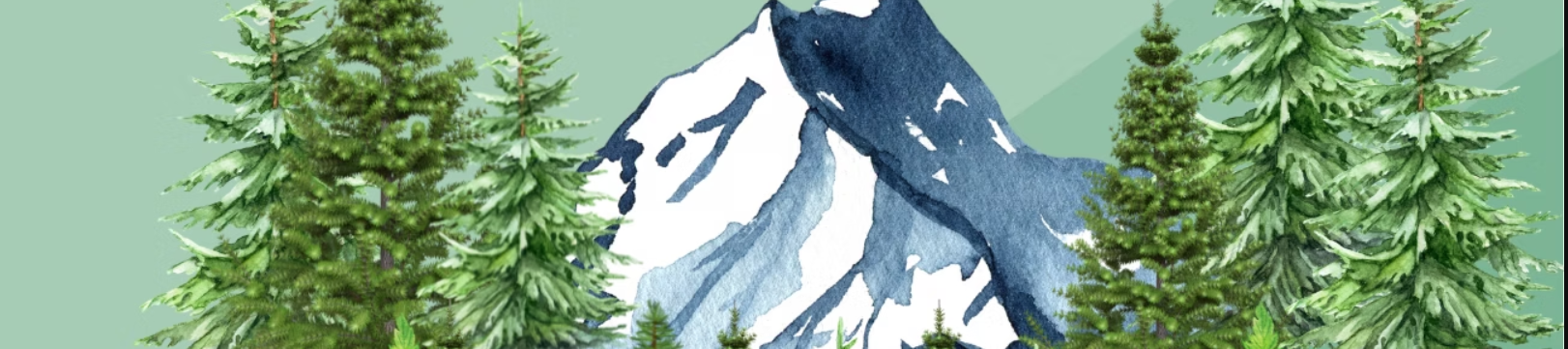 Rainforest and Glacier