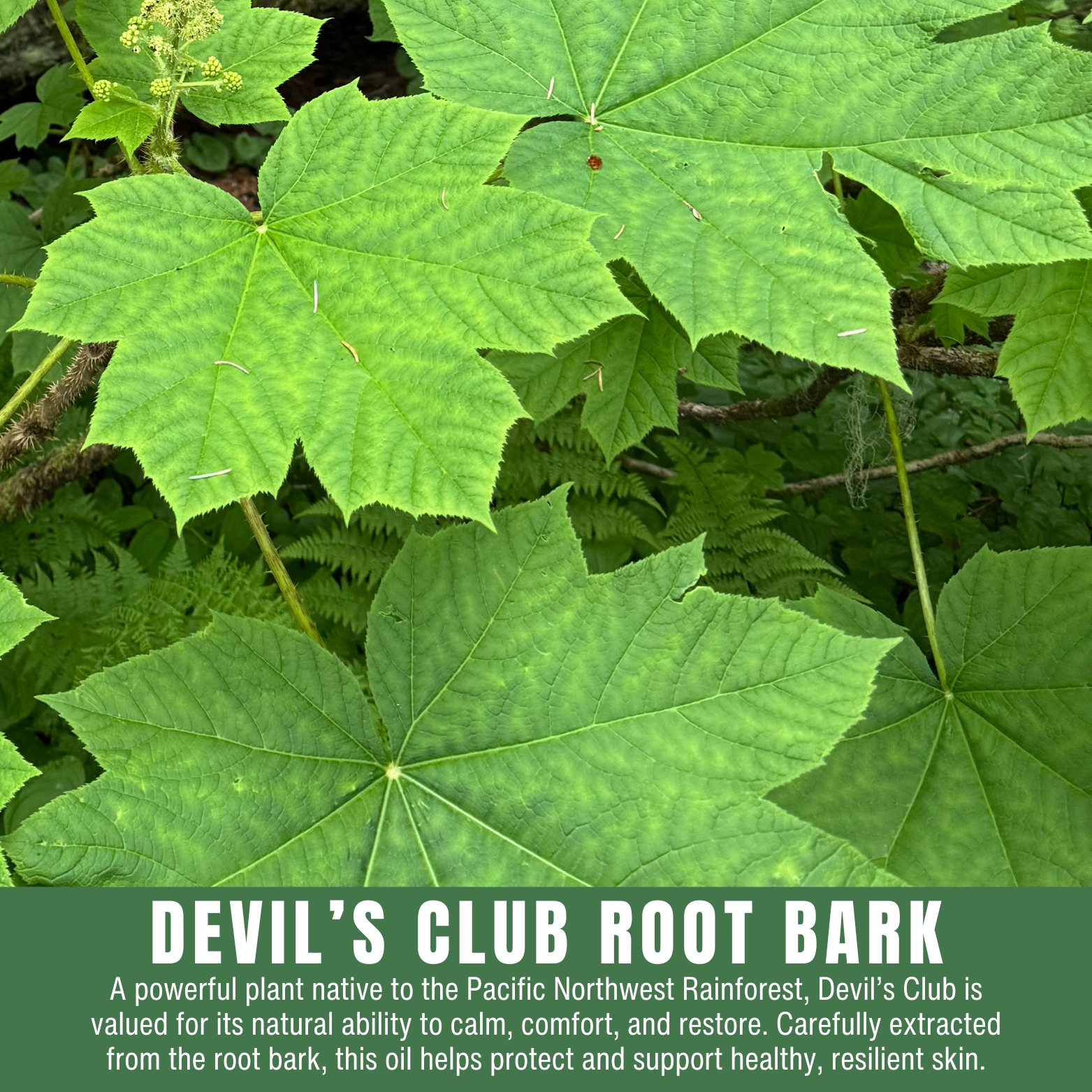 Double Strength Lip Balm