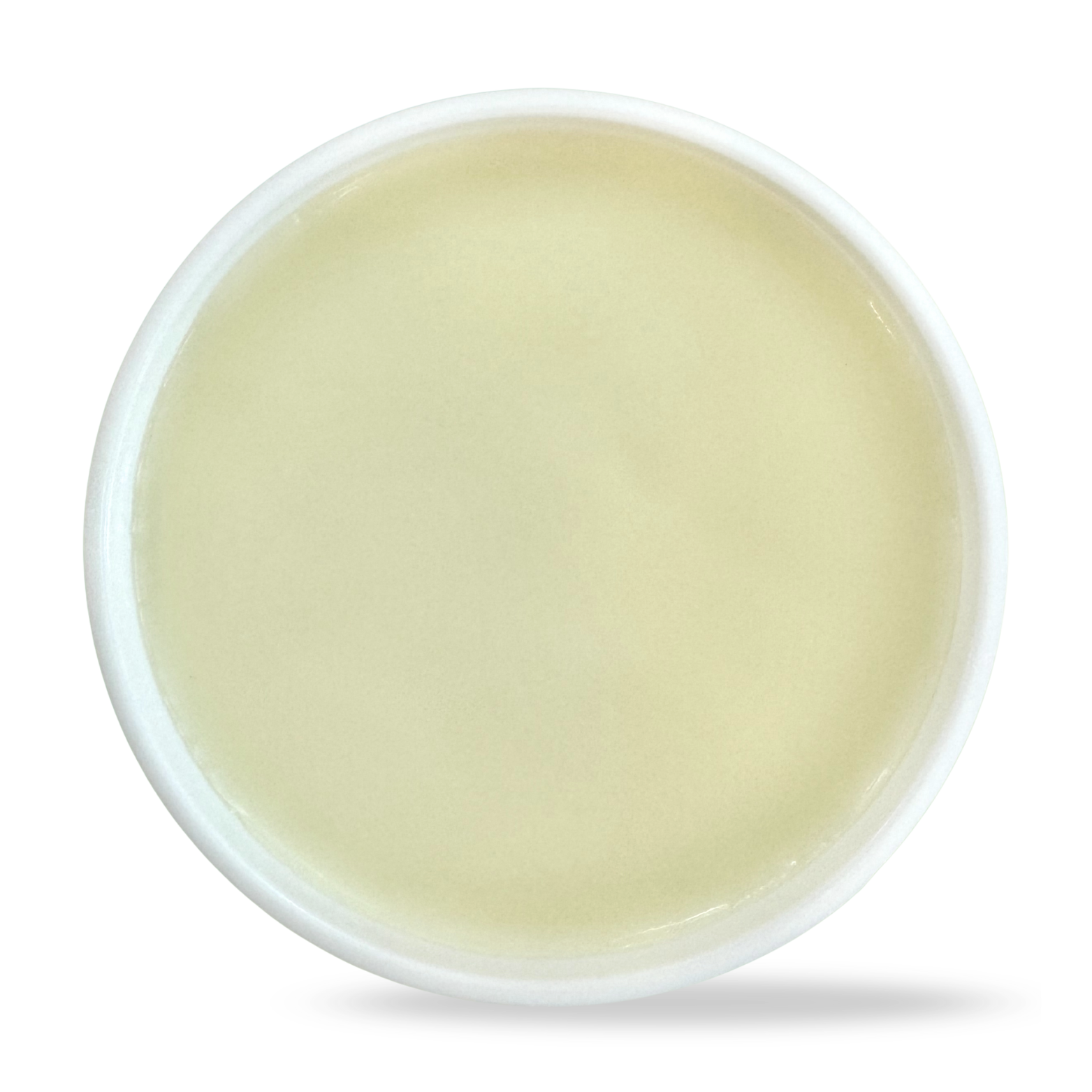 Devil's Club Glacier Salve
