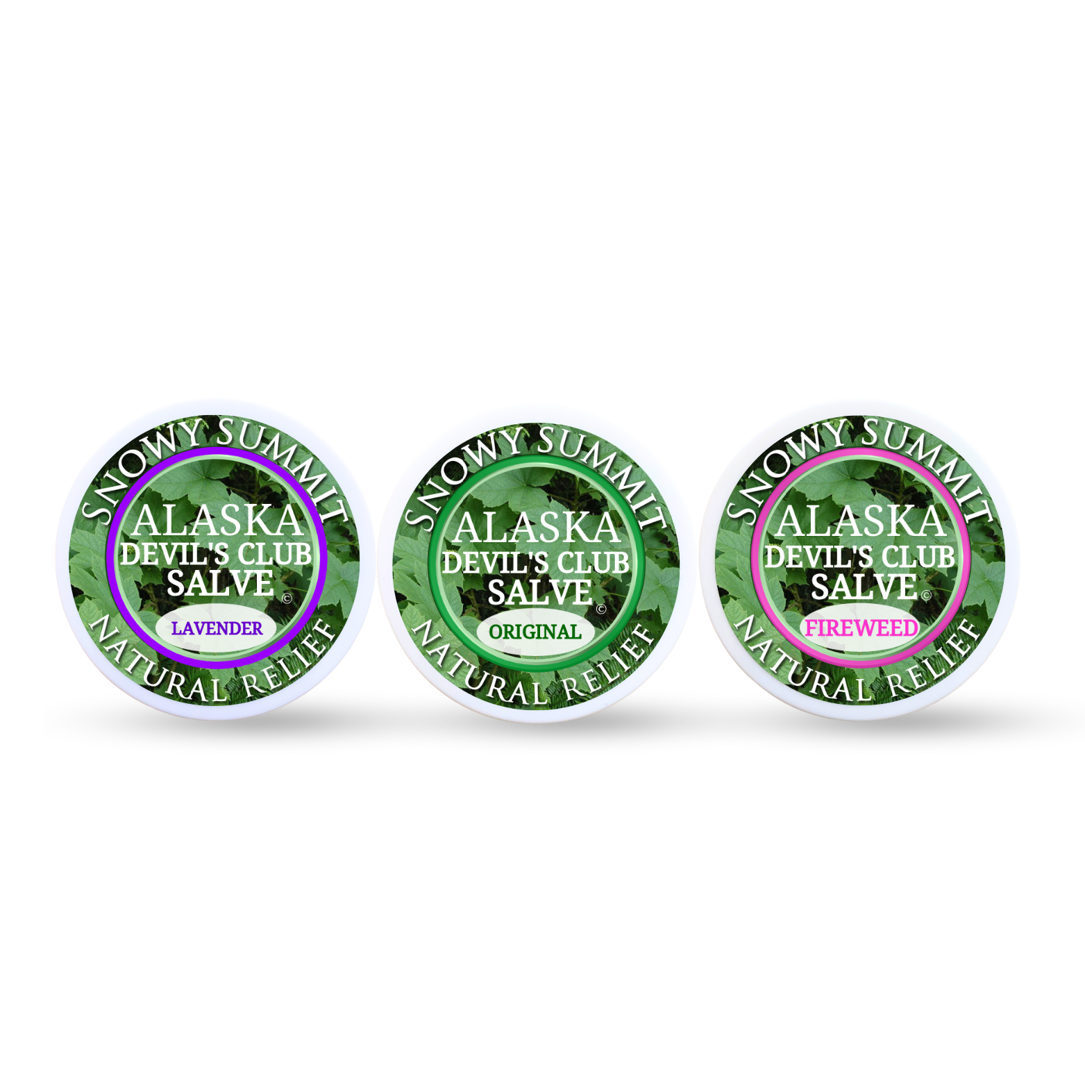 Devil's Club Sampler Pack