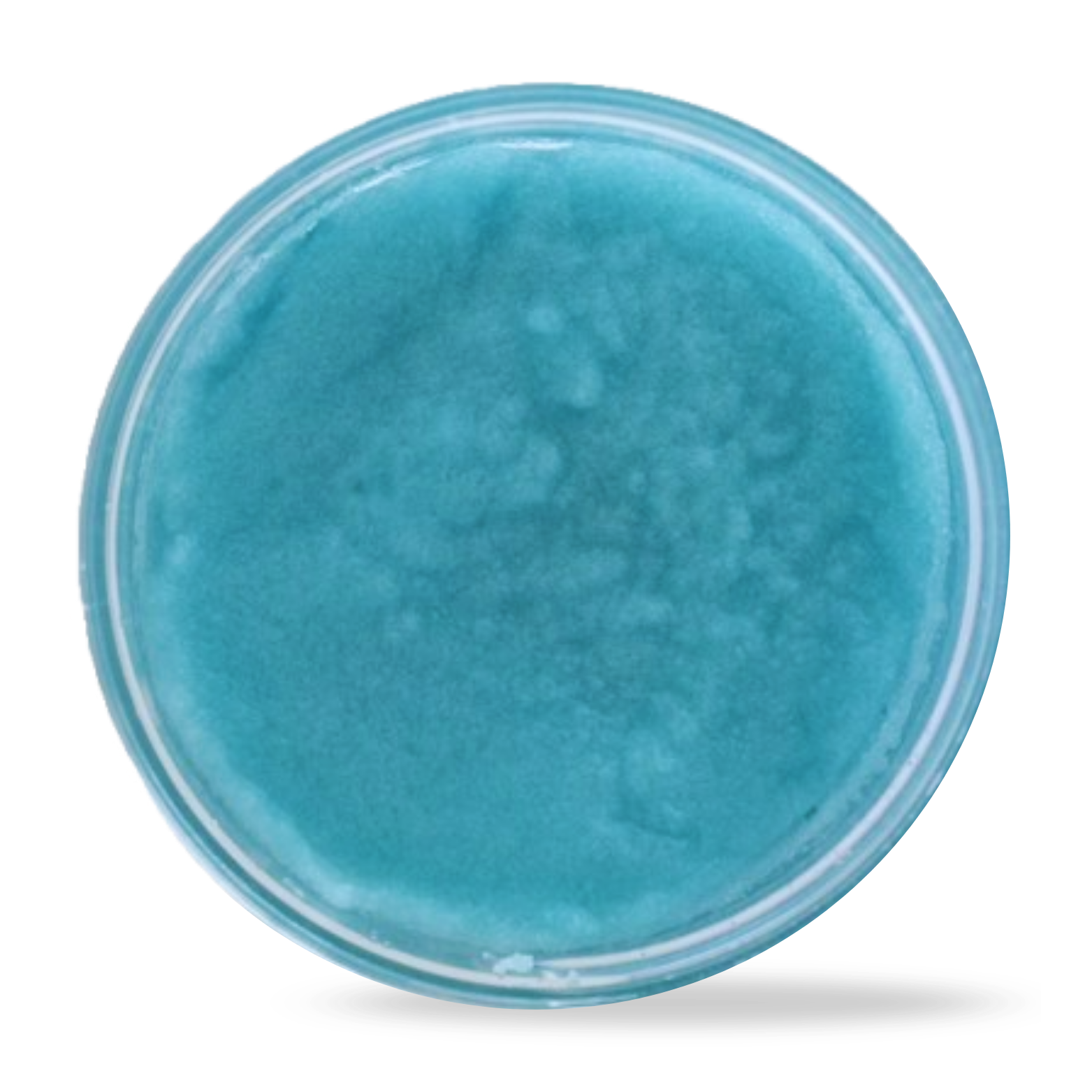Glacier Sugar Scrub
