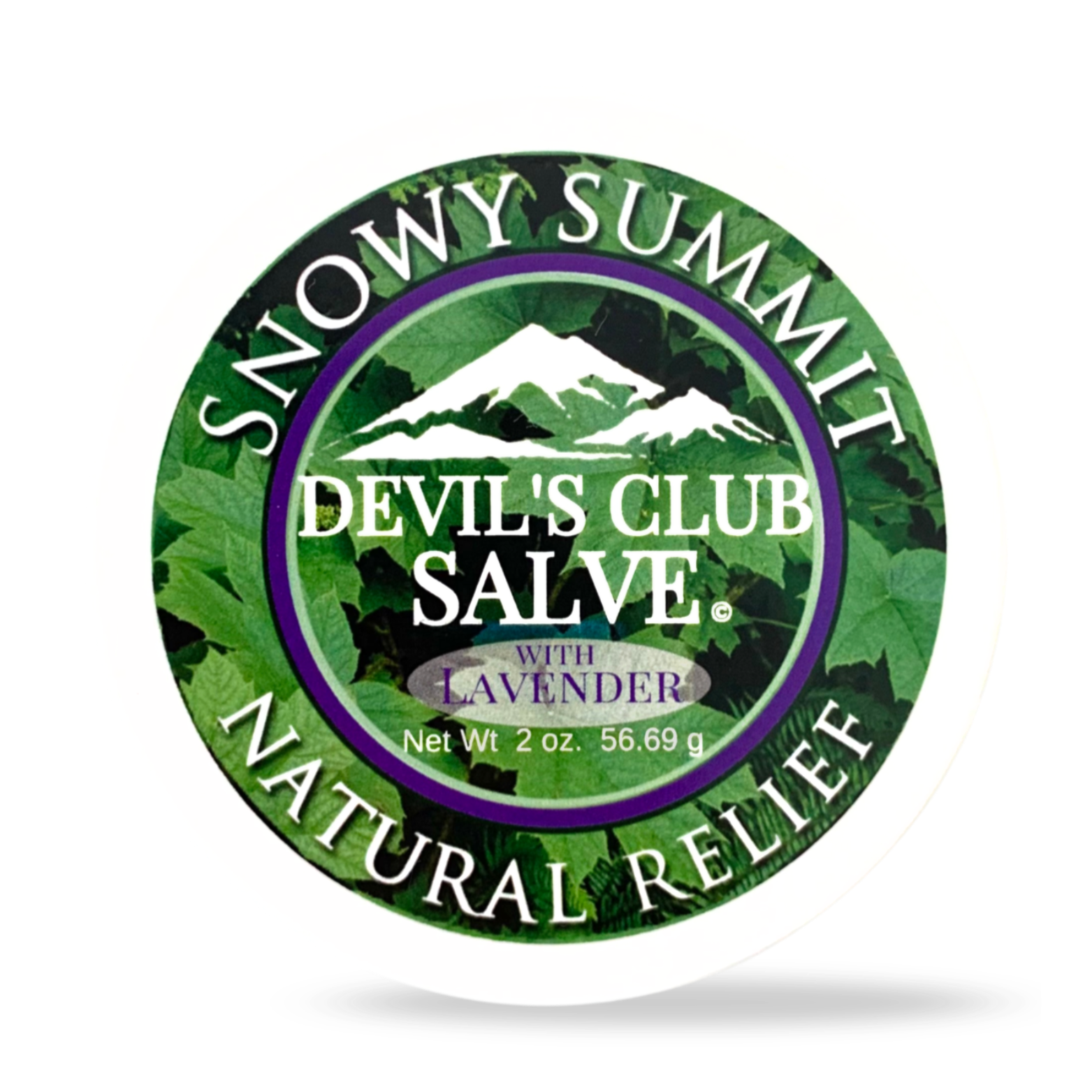 Devil's Club Salve Lavender