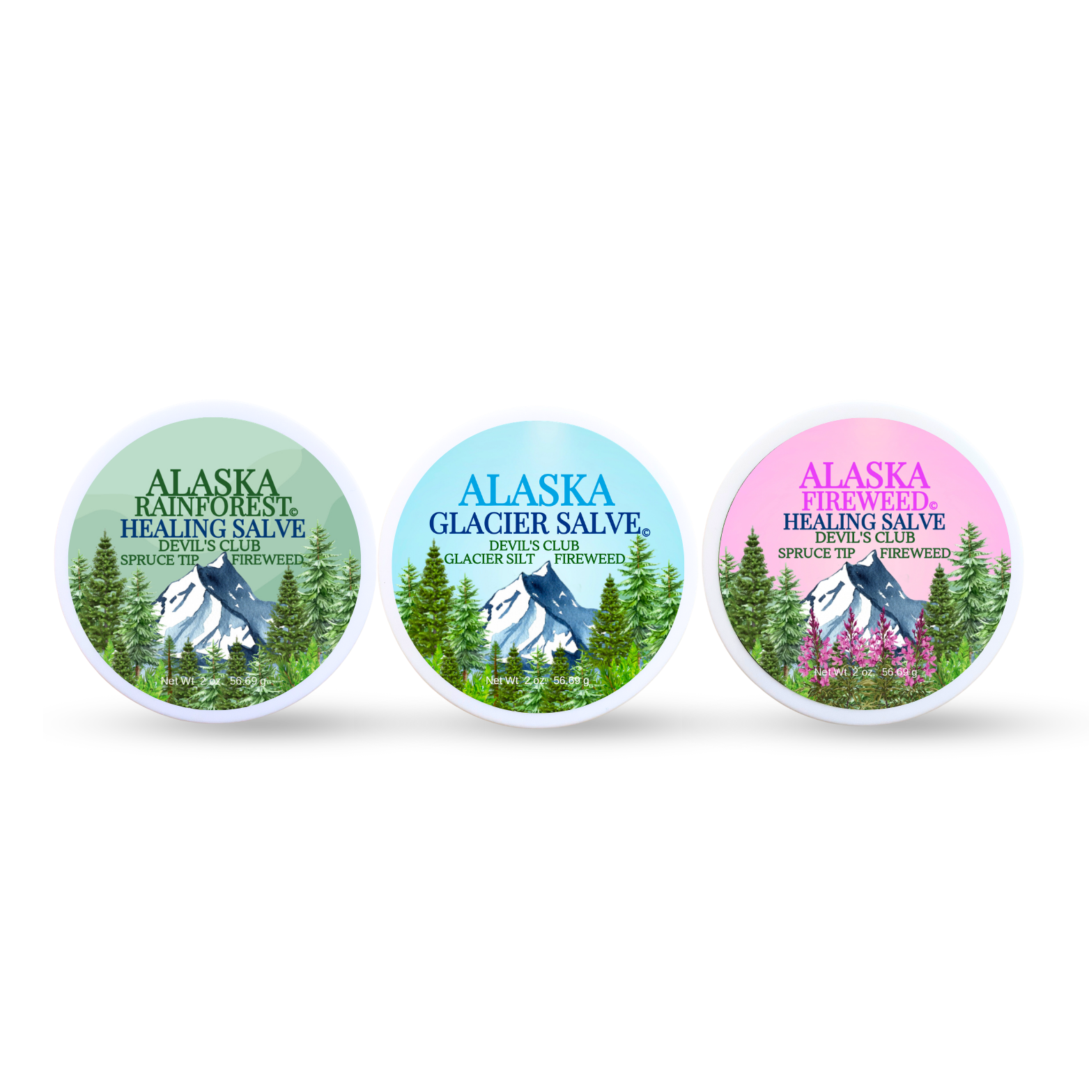 Devil's Club Rainforest Sampler Pack