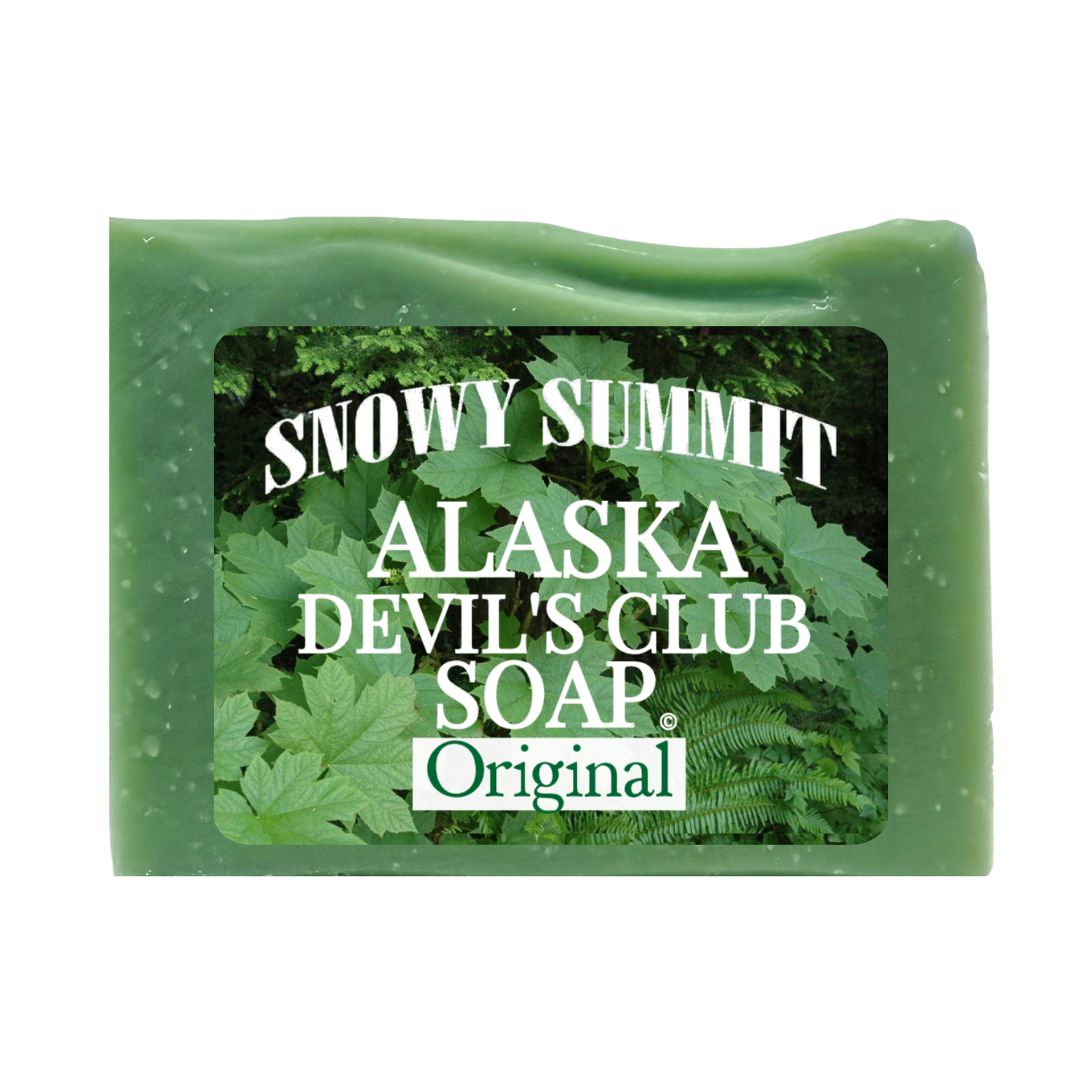 Devil's Club Soap Original