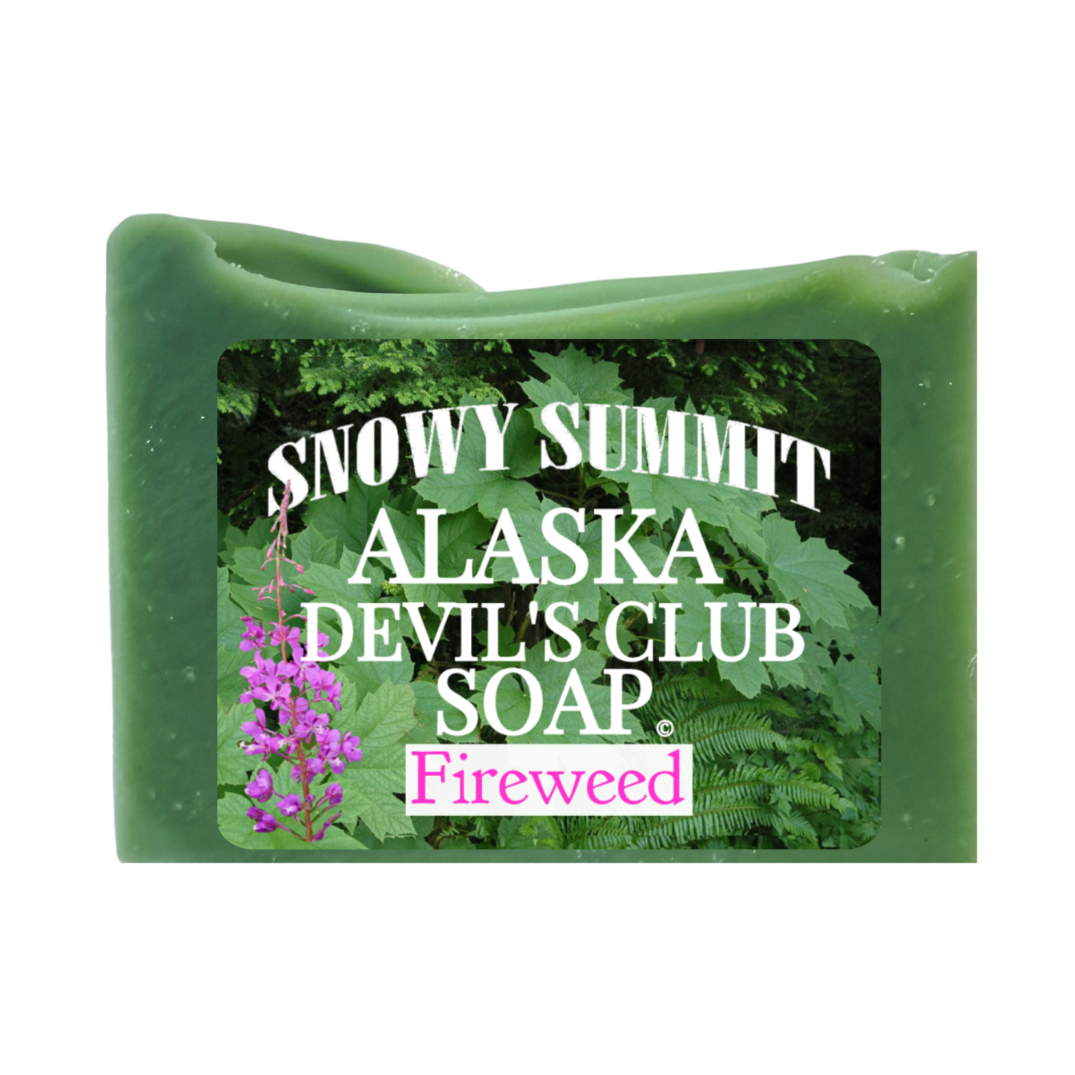 Devil's Club Soap Fireweed