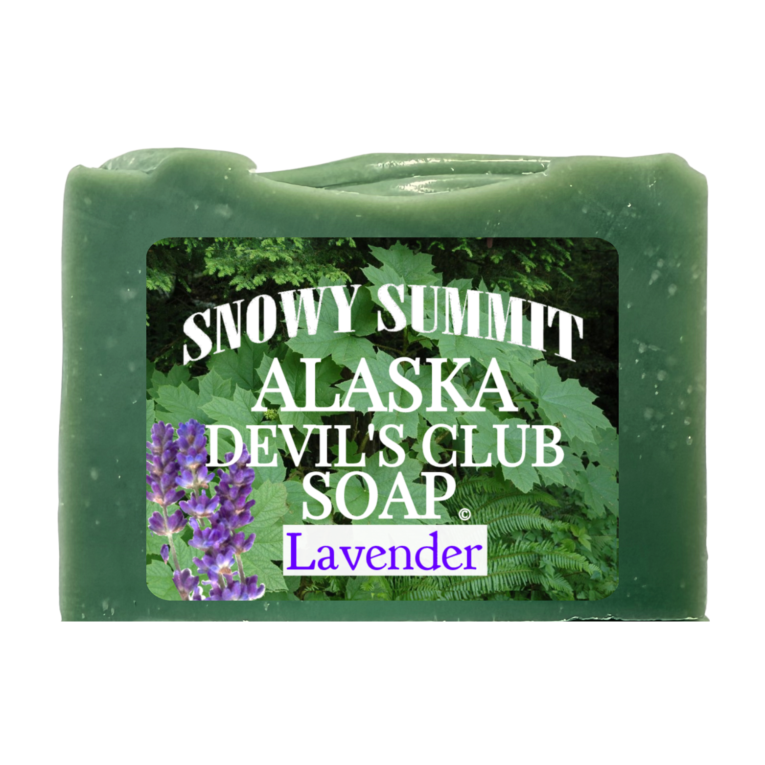 Devil's Club Soap Lavender