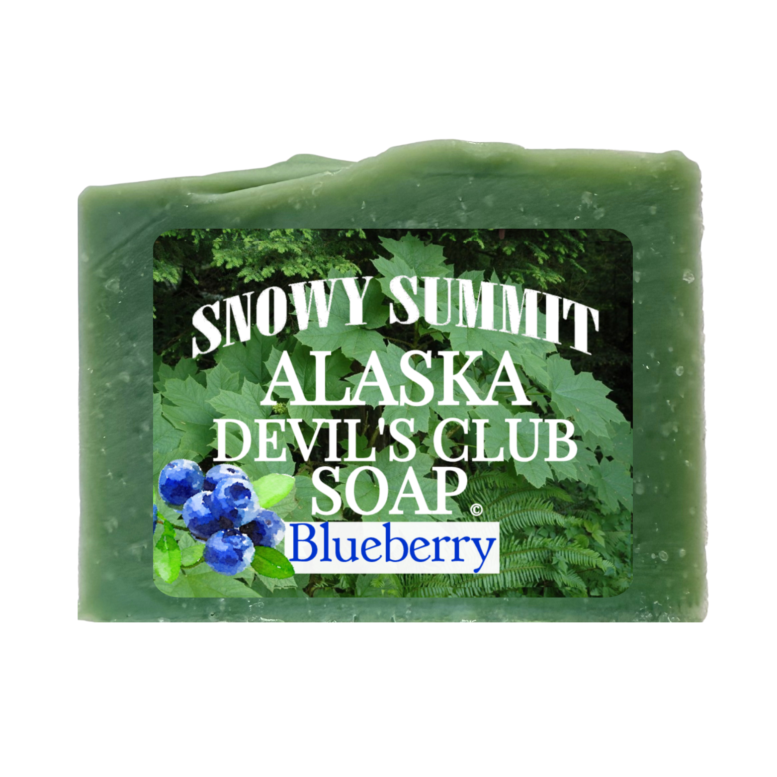Devil's Club Soap Blueberry