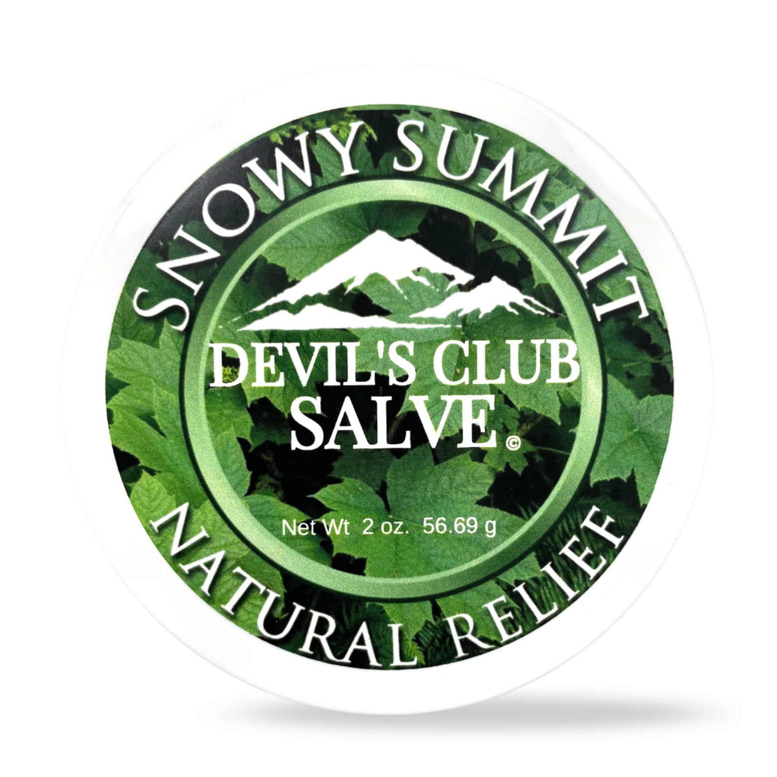 Devil's Club Salve