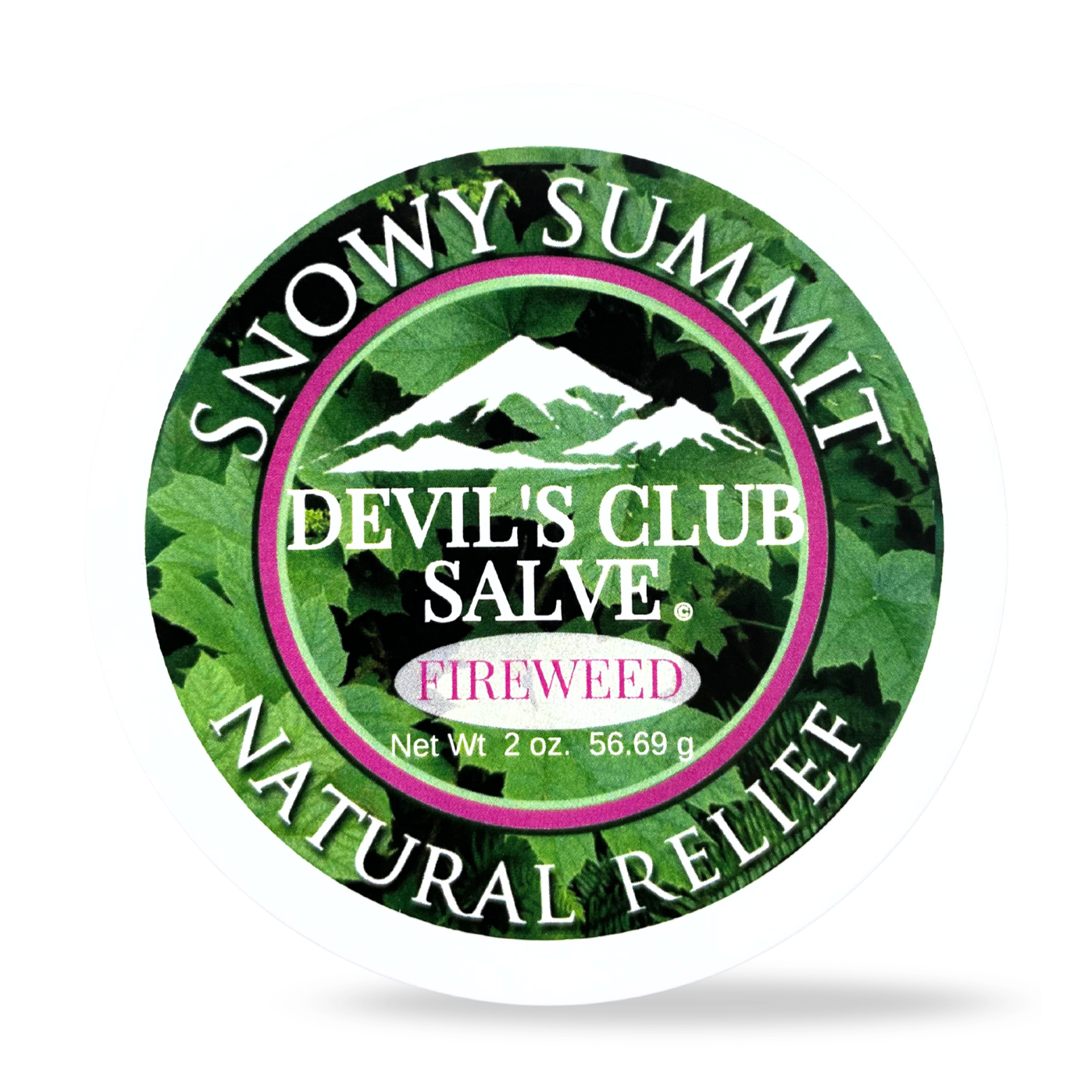 Devil's Club Salve Fireweed
